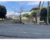 道路（正面）