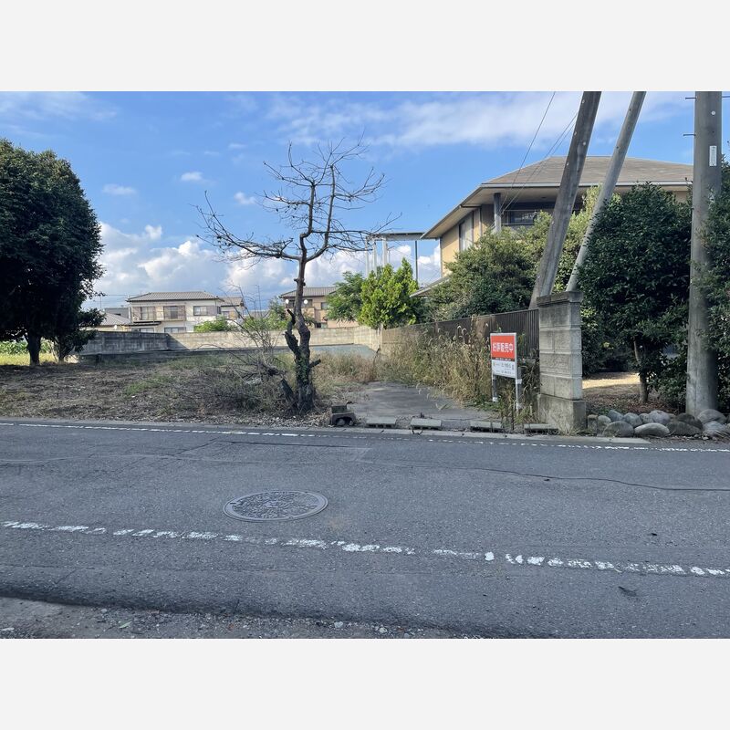 道路（正面）