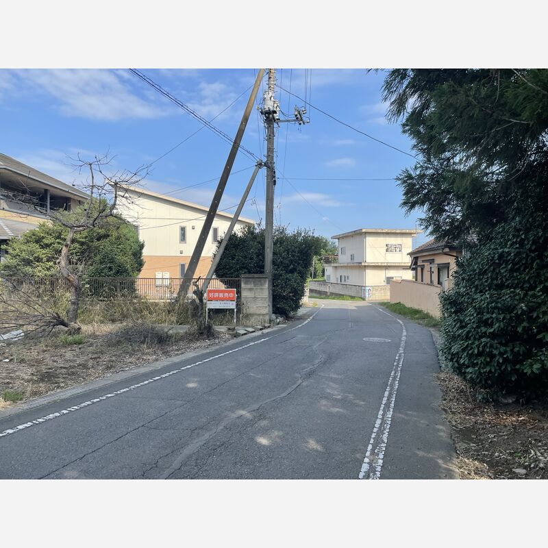 道路（西側）