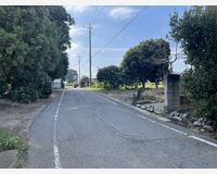 道路（東側）