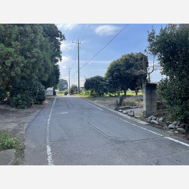 道路（東側）